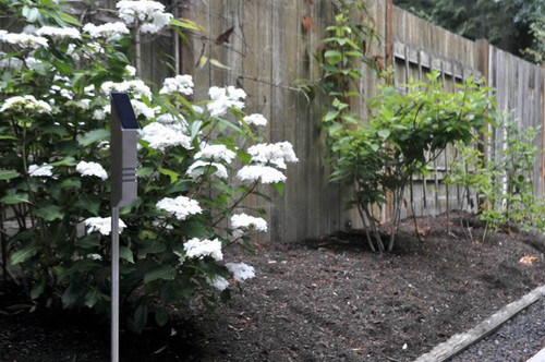 StarLight & Stake Package - Black Classic - Solar Powered LED Accent Light